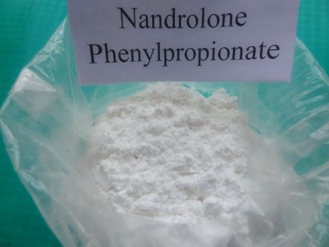 Nandrolone Phenylpropionate